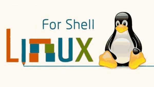 Linux Shell脚本编程